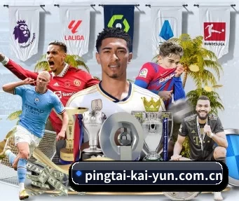 pingtai-kai-yun.com.cn APP | kaiyun