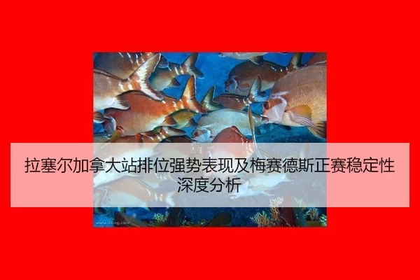 la-sai-er-jia-na-da-zhan-pai-wei-qiang-shi-biao-xian-ji-mei-sai-de-si-zheng-sai-wen-ding-xing-shen-du-fen-xi-2-582.jpg